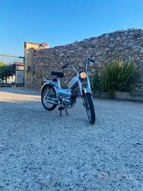 Atala Califfo Rizzato 119