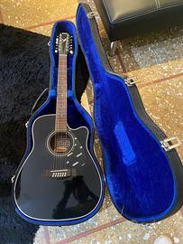 Chitarra 12 corde yamaha con custodia