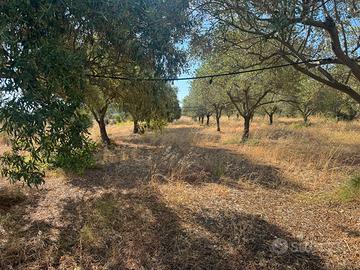 Terreno agricolo a Pula