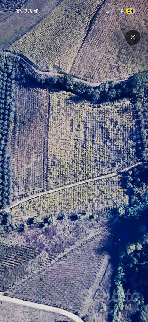 Terreno agricolo - Vista 4