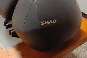 Valigie Laterali SHAD SH36 Carbon x BMW S1000 XR