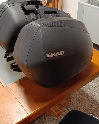 Valigie Laterali SHAD SH36 Carbon x BMW S1000 XR