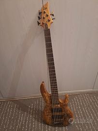 Basso elettrico LTD 5 corde