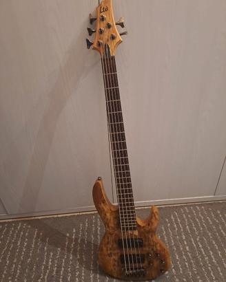 Basso elettrico LTD 5 corde