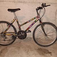 bici MTB "elite"