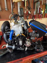 motore Polini Thor 303 evo