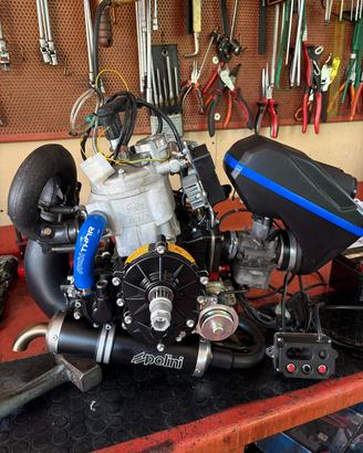 motore Polini Thor 303 evo