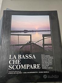 collezionismo la bassa che scompare