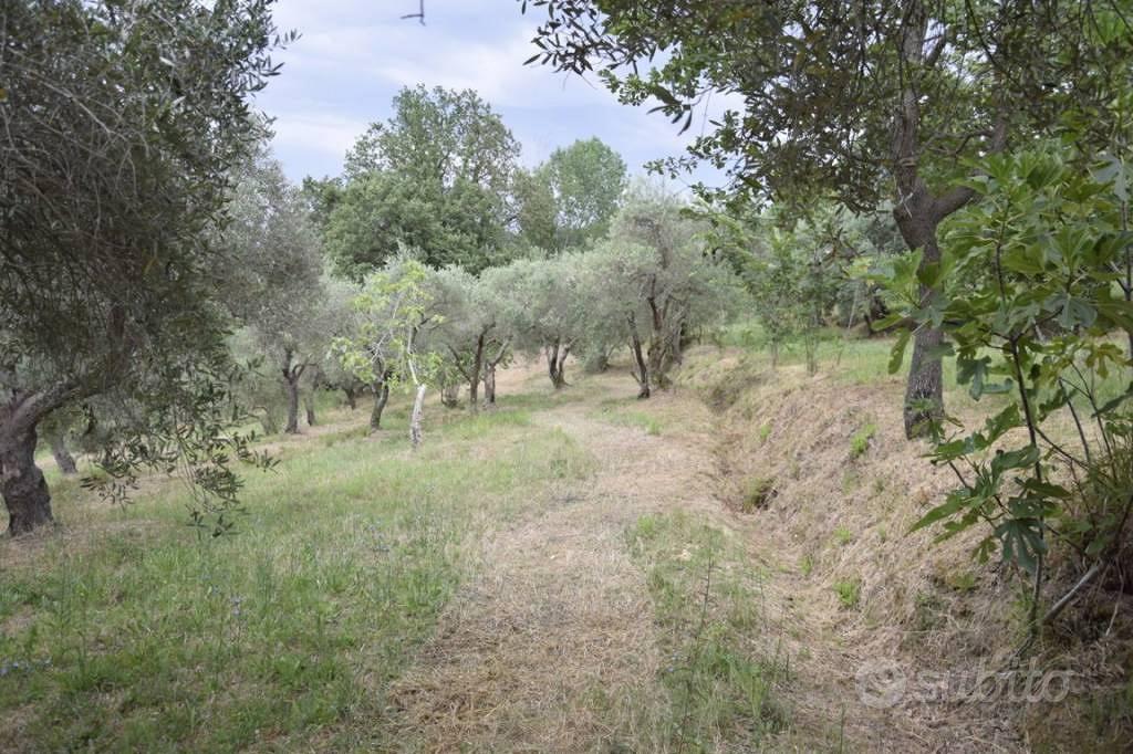 Rustico / Casale di 50 m² con 2 locali a Minturno - Altro