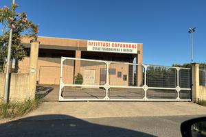 Zona industriale Frascineto