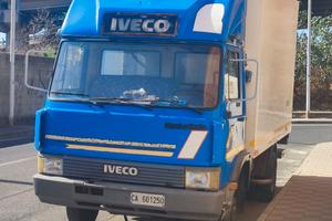 Iveco turbo zeta 65-12 refrigerato 