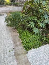 Casa indipendente di 85 m² con 4 locali a Scandicc