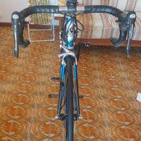 bici da corsa colnago