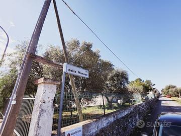 Terreno in zona residenziale