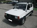 fiat-panda-1100-i-e-cat-4x4-benzina-metano-