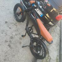 Bici elettrica biposto