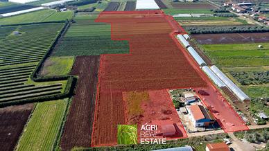 Terreno agricolo 4,5 HA con capannone