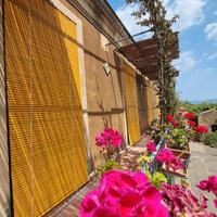 falegname cassine in legno 