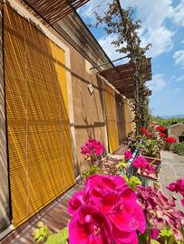 falegname cassine in legno 