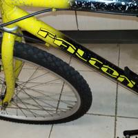 MTB falcon ruote da 26