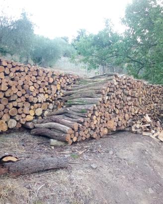 Legna da ardere per camini e stufe