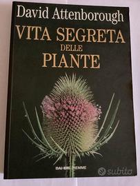 Vita segreta delle piante Piemme 1°Ed.1995 leggere