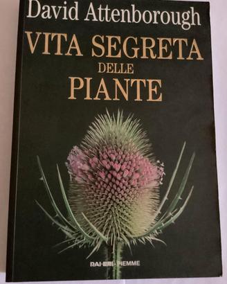 Vita segreta delle piante Piemme 1°Ed.1995 leggere