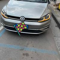 Professionista vende Golf Variant