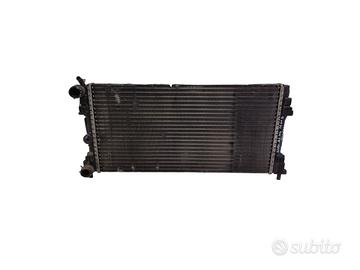 RADIATORE ACQUA AUDI A1 Serie (8X1) 6R0121253 CAYC