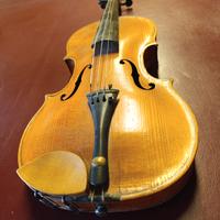 Violino con scritta interna 