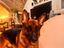 Immagine 3