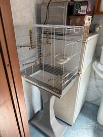 Gabbia per uccellini
