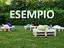 Immagine 6