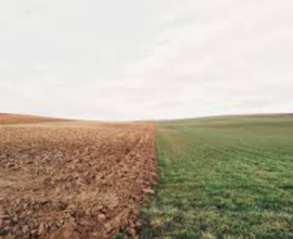 Terreno agricolo