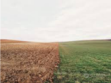 Terreno agricolo