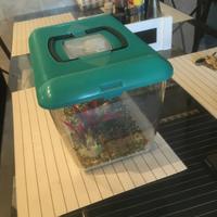 Aquario 30x20