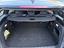 Immagine 7