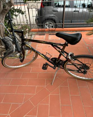 Bicicletta hazzard 26 cambio shimano