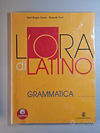 L’Ora di Latino – Grammatica – Conte Ferri