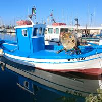 Barca da pesca 
