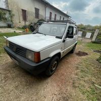 Fiat panda  1100 i.e. Cat young