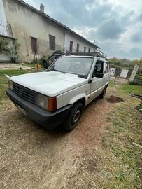 Fiat panda  1100 i.e. Cat young