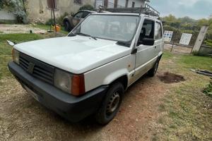 Fiat panda  1100 i.e. Cat young