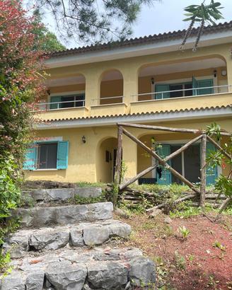 Palinuro Appartamento in villa con giardino
