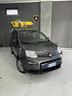 fiat-panda-hybrid