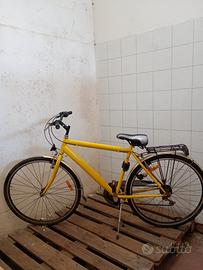 Bicicletta regina 952