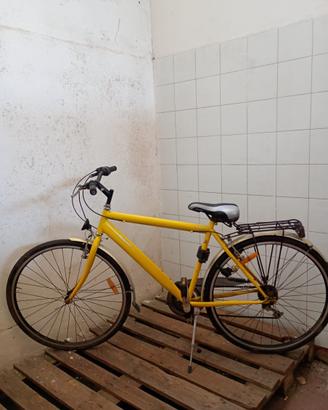 Bicicletta regina 952