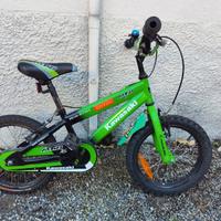 Bicicletta bimbo