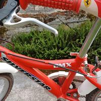 Bici bimbo BMX