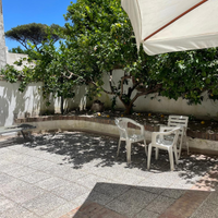 Casamicciola Terme-centrale bilocale con giardino